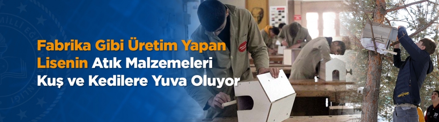 Fabrika Gibi Üretim Yapan Lisenin Atık Malzemeleri Kuş ve Kedilere Yuva Oluyor