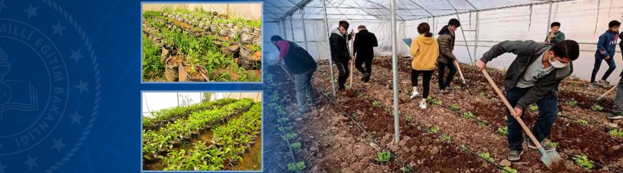 Mardin'de Meslek Lisesinde Uygulamalı Tarım Eğitimi