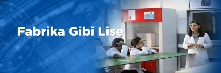 Fabrika gibi Lise