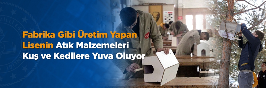 Fabrika Gibi Üretim Yapan Lisenin Atık Malzemeleri Kuş ve Kedilere Yuva Oluyor