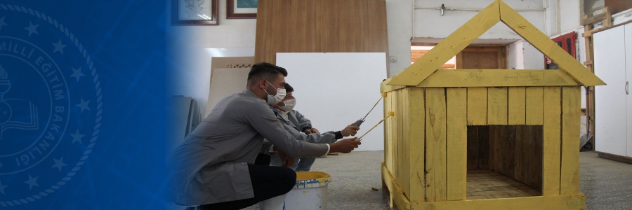 Meslek Liseliler Sokak Hayvanları İçin Kolları Sıvadı