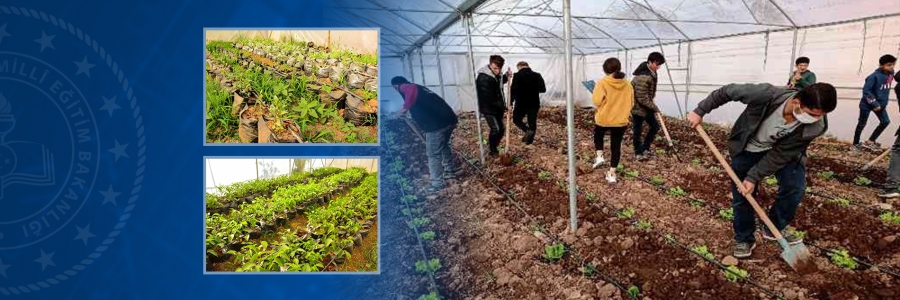 Mardin'de Meslek Lisesinde Uygulamalı Tarım Eğitimi