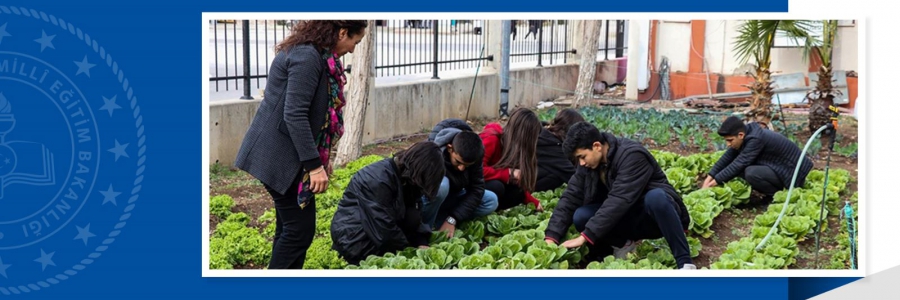 Meslek Liseliler Tarım Uygulamalarını Sebze Yetiştirerek Öğreniyor